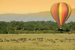 Unimaginable Experience at Masai Mara National Reserve