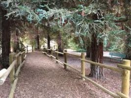 Carbon Canyon Regional Park