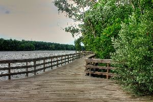 Kelso Conservation Area