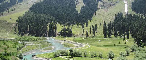 Special Honeymoon Kashmir tour package