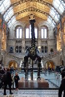 Discover the wonders of nature at the Natural History Museum