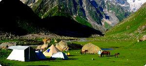 Memorable 4 Days 3 Nights Delhi with Manali Trip Package