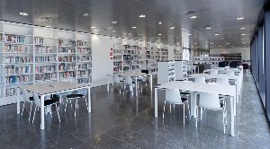 Pere Anguera Library 