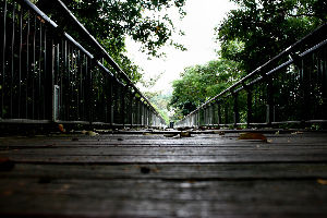 Putrajaya Botanical Garden