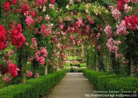 Botanical Garden,Kokernag