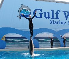 Gulf World Marine Park