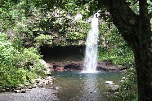 Bouma National Park: Taveuni Island