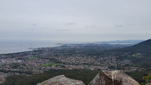 Brokers Nose 