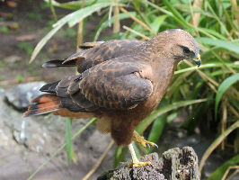 Best 4 Days 3 Nights Cape_town Tour Package by Faizan Tours And Travels