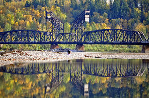 Cottonwood Island Nature Park