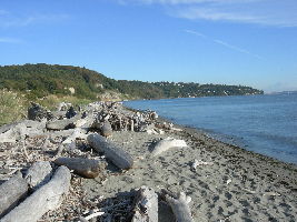 Discovery Park 