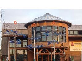 Hands On Childrens Museum