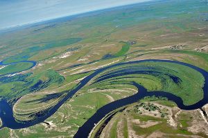Bird Watching: Looking Sky high