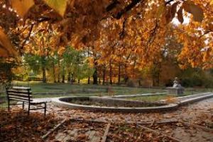 Cluj-Napoca Botanical Garden