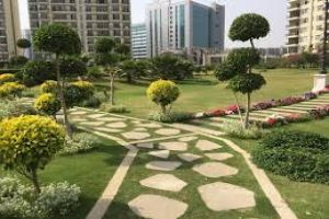 Nicolae Romanescu Park