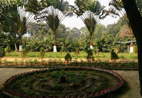 Krishnasayar Park and Lake