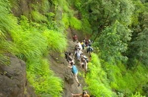 Bhimashankar Trek