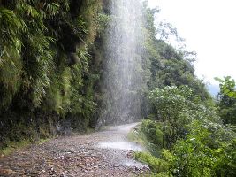 Kaluk