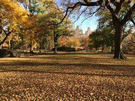 The Central Park of Central New York