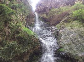Chadwick Waterfall