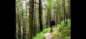 Chail Sanctuary