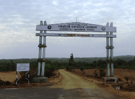 Chandoli Natinal Park