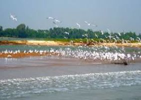 Chilika lake 