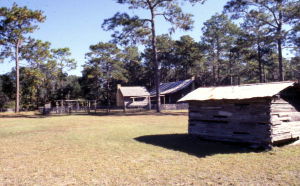Forest Capital Museum State Park