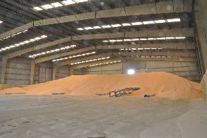 The Warehouse Skate Park
