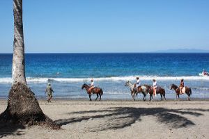Horse Riding: Back To Unexplored