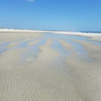 Little Talbot Island State Park