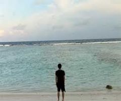 Andretti Island