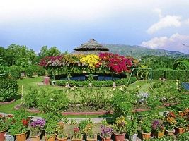 Peace Park