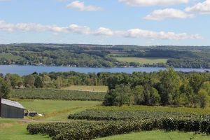 Finger Lakes Wine Country