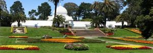 Golden Gate park