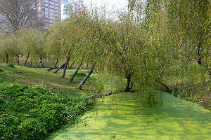 Barclay Memorial Park