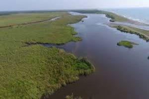 Kolkheti National Park