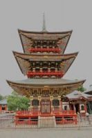 Best 4 Days 3 Nights Narita Friends Tour Package