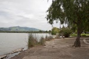 Central Park and Lake Elizabeth