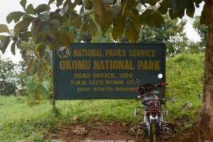 Okomu National Park