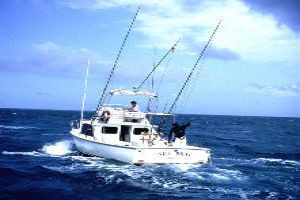 Go For Deep Sea Fishing