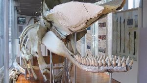 Portland Maritime Discovery Centre