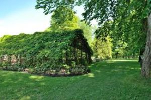 Le Parc du Bois-de-Coulonge