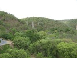 Nallamala Forest 