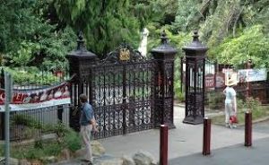 Royal Tasmanian Botanical Gardens 