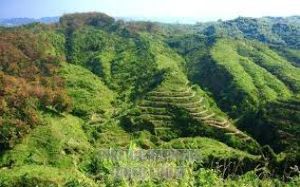 Chittangong Hills