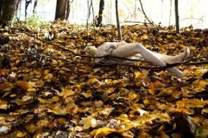 Greenwood Conservation Area