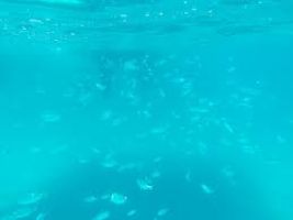 Nanjing Underwater World