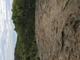 Ruffner Mountain Nature Preserve