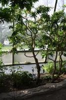 Cockrell Butterfly Center